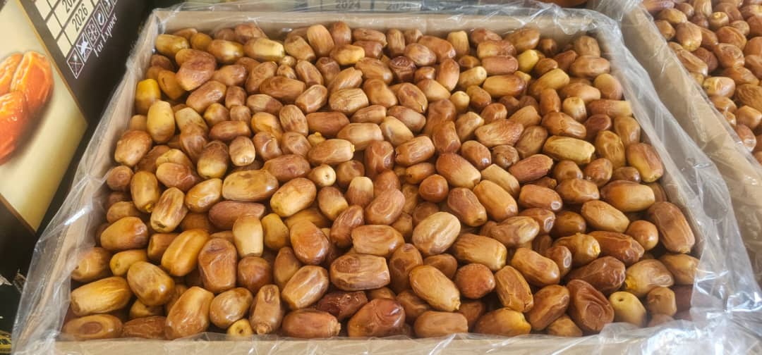 تصویر 4 از خرما زاهدی ارگانیک فله ای مخصوص کارخانه های غذایی