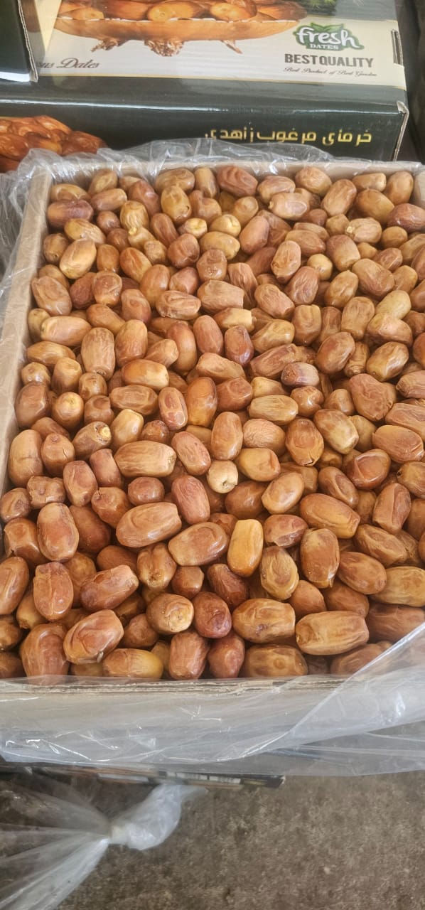 تصویر 3 از خرما زاهدی تازه جنوب ایران با طعم شیرین طبیعی