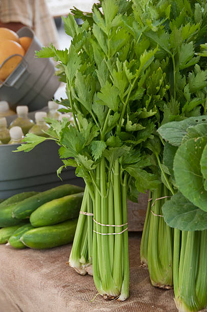 تصویر 4 از کرفس سبز پر آب مناسب تهیه خورش کرفس اصیل ایرانی