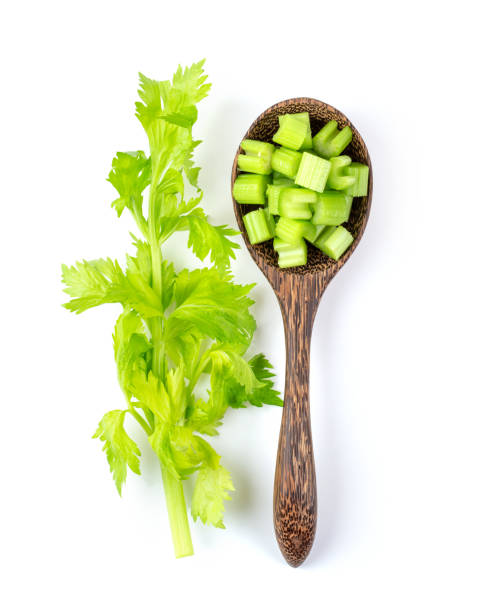 تصویر 2 از کرفس سالم با ساقه‌ های ضخیم مناسب بازار مصرف داخلی