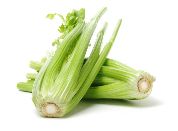 تصویر 4 از کرفس سالم با ساقه‌ های ضخیم مناسب بازار مصرف داخلی