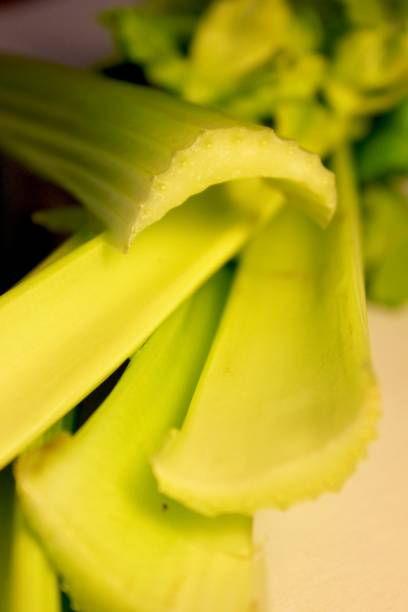 تصویر 1 از کرفس تازه صادراتی مناسب بسته‌ بندی حرفه‌ ای و حمل طولانی