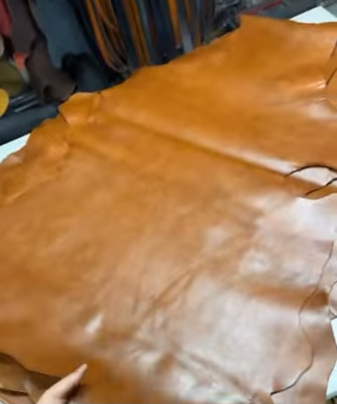 تصویر 1 از چرم بزی اعلا در فروش عمده