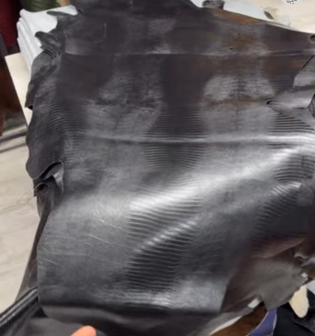 تصویر 1 از چرم بزی اعلا با قیمت بی نظیر