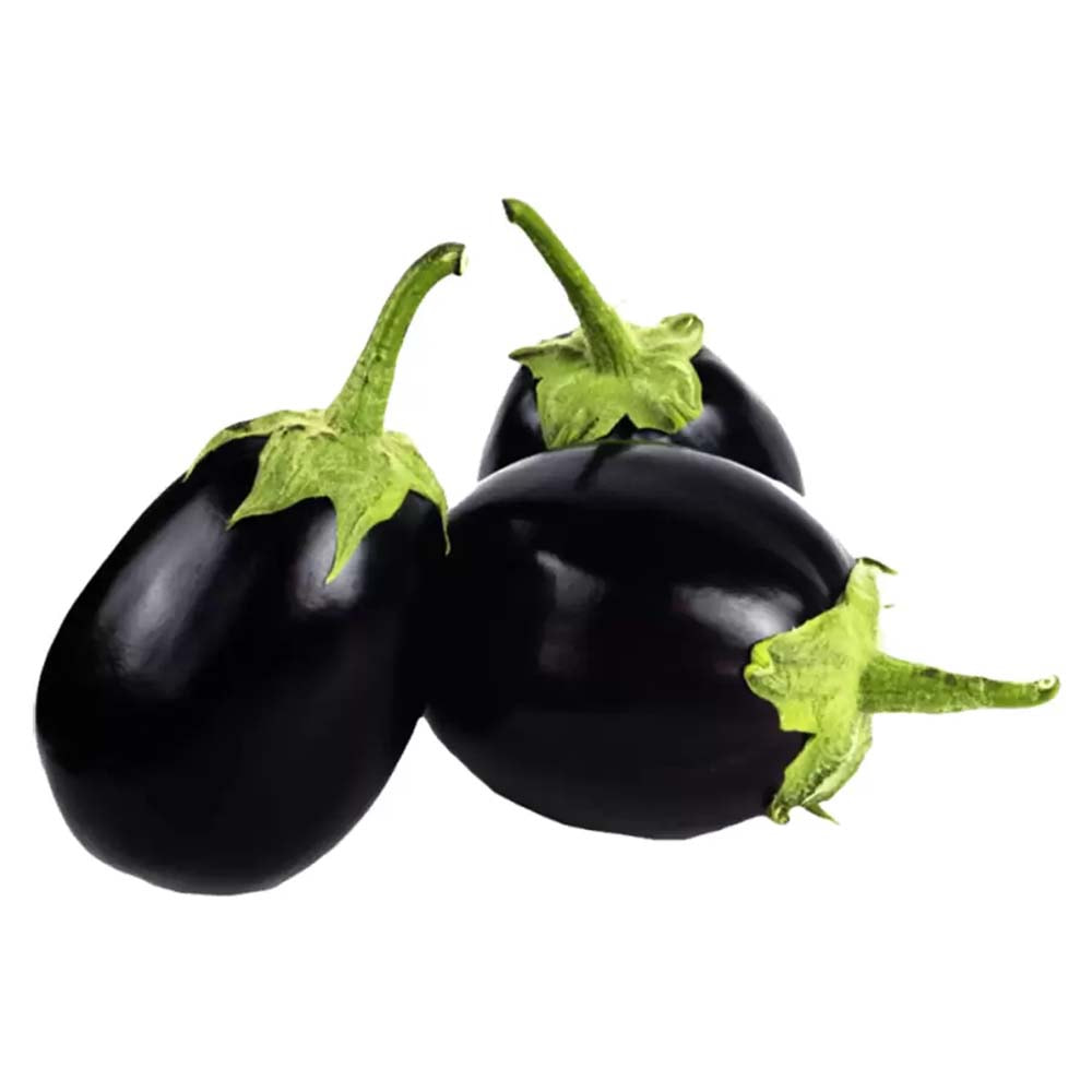 تصویر 4 از بادمجان لامپی با کیفیت بالا و ظاهر یک دست