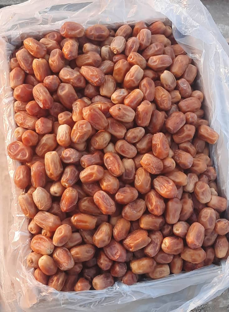 تصویر 4 از خرما زاهدی در بسته بندی های کارتونی و بهداشتی