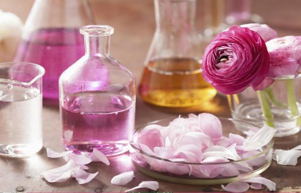 گلاب کاشان با ساختار عطری اصیل ماندگار