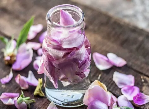 تصویر 2 از گلاب کاشان با ساختار عطری اصیل ماندگار