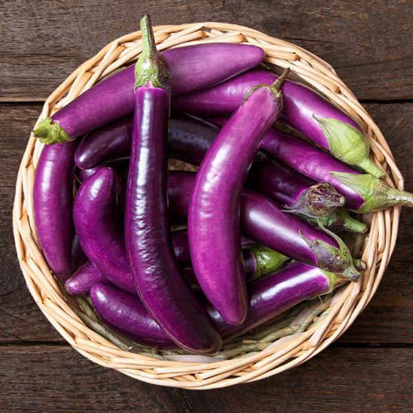 خرید بادمجان بنفش