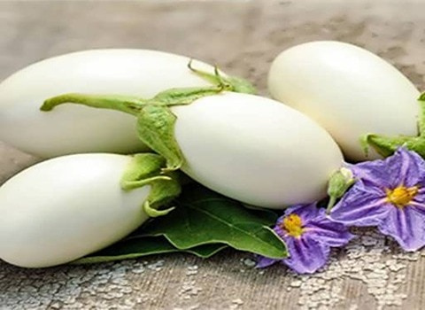 تصویر 2 از بادمجان سفید ارگانیک و طبیعی با مزه دلپذیر