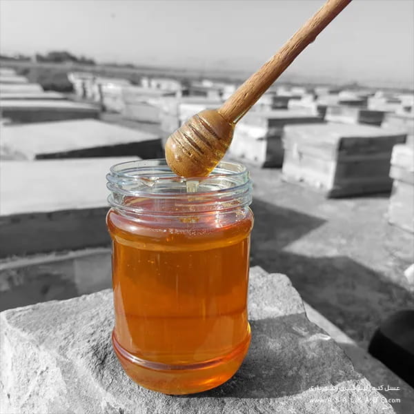 تصویر 4 از عسل گون زرد طبیعی با طعم ملایم و خالص