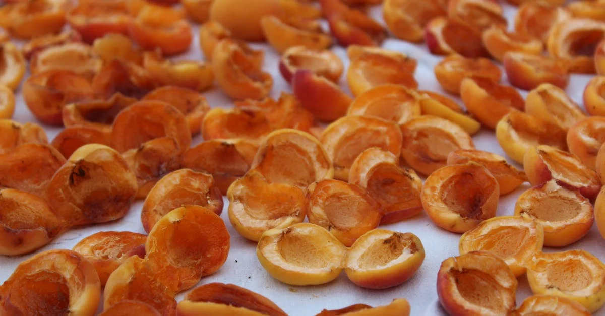 تصویر 4 از زردآلو خشک اسلایس بافت نرم و طعم واقعی میوه