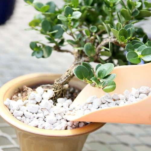 پوکه معدنی برای گلدان و گیاهان