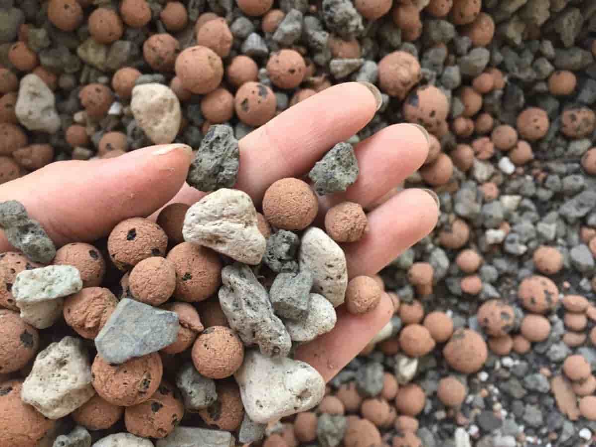 تصویر 2 از پوکه معدنی برای گلدان و گیاهان