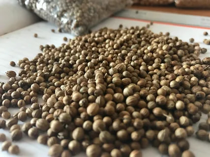 تصویر 4 از گشنیز خرد شده افزودنی مطبوع در غذاهای سنتی و مدرن