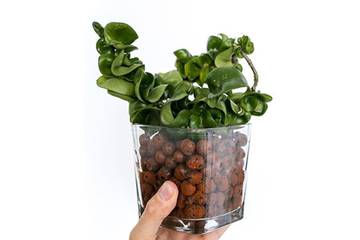 تصویر 1 از پوکه معدنی خاک بسته‌ بندی عمده