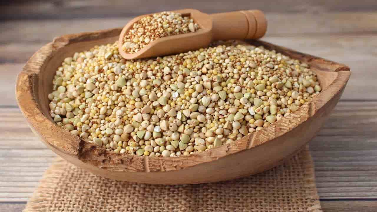 تصویر 2 از تخم گشنیز سانا سنتر کاربرد ادویه‌ ای آشپزی