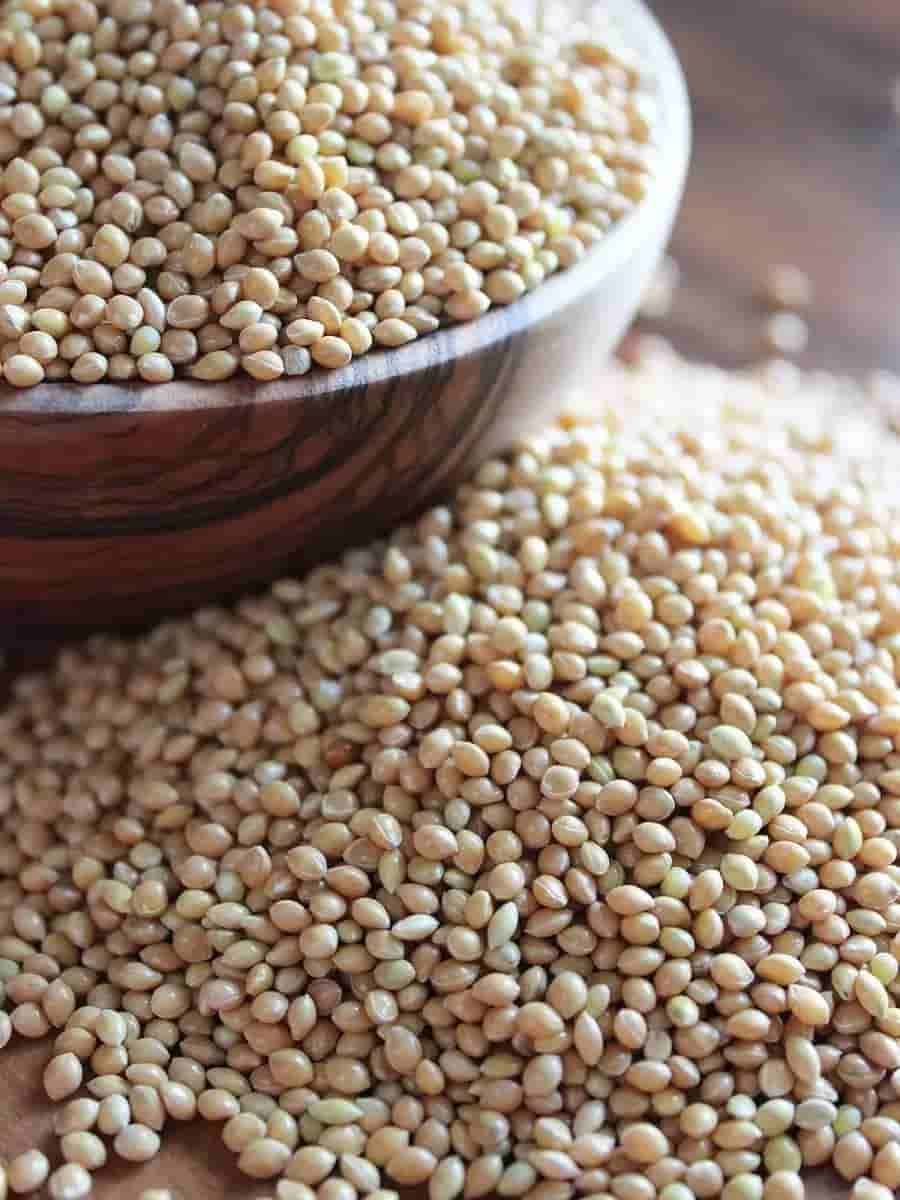 تصویر 4 از تخم گشنیز سانا سنتر کاربرد ادویه‌ ای آشپزی