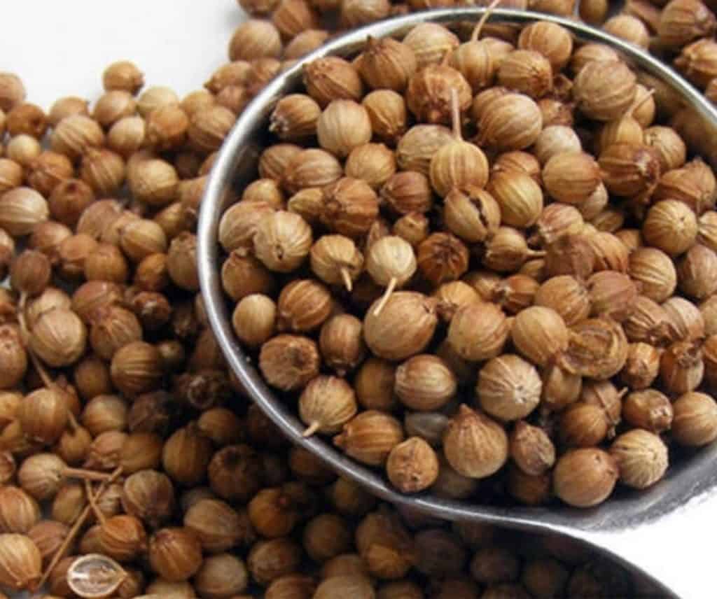 تصویر 4 از تخم گشنیز مکزیکی مناسب ترکیبات غذایی خاص