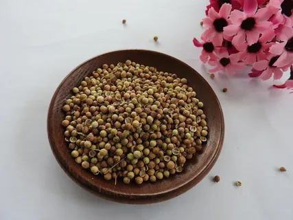 تخم گشنیز سپاهان شهر کاربری گسترده خوراکی