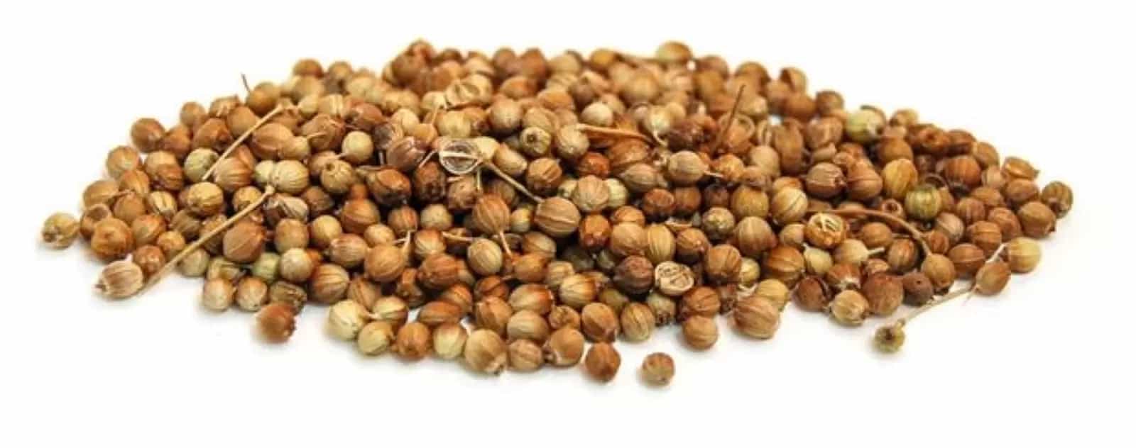 تصویر 3 از تخم گشنیز سپاهان شهر کاربری گسترده خوراکی