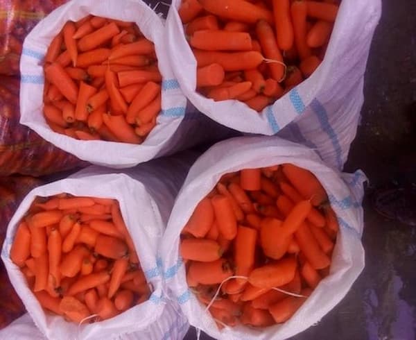 گونی هویج با مقاومت بالا در برابر رطوبت و نفوذ آب