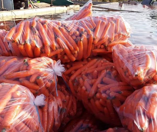 تصویر 4 از گونی هویج با مقاومت بالا در برابر رطوبت و نفوذ آب