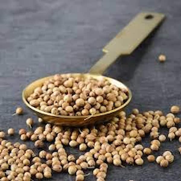 تخم گشنیز خرم آباد بسته‌ بندی مقاوم برای نگهداری آسان