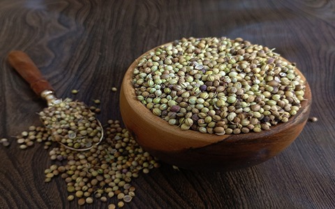 تصویر 1 از تخم گشنیز خرم آباد بسته‌ بندی مقاوم برای نگهداری آسان