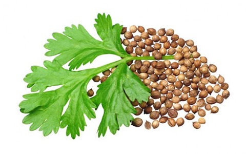 تصویر 4 از تخم گشنیز خرم آباد بسته‌ بندی مقاوم برای نگهداری آسان