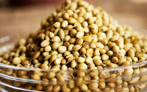 تصویر 6 از تخم گشنیز محلی حاصل کشت منطقه‌ ای