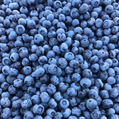 تصویر 3 از مرکز پخش عمده بلوبری تولید ایران + بلوبری در سایز بندی مختلف
