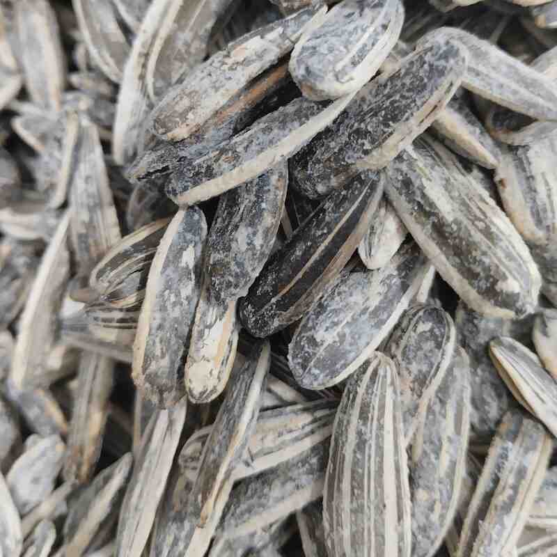 تخمه آفتابگردان نمکی میان‌ وعده سالم