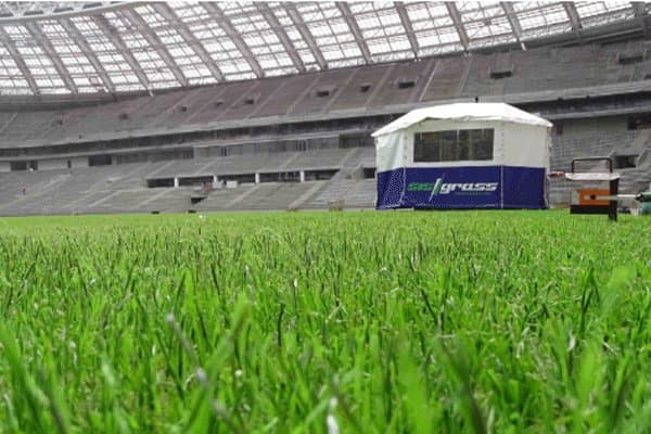 تصویر 4 از چمن مصنوعی تبریز برای فضا های متنوع