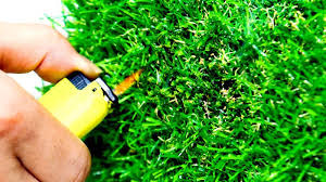 تصویر 4 از چمن مصنوعی ضد حریق برای محیطی ایمن و سبز