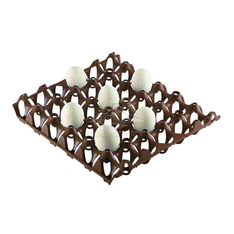 تصویر 2 از شانه تخم مرغ تجربه نگهداری ایمن