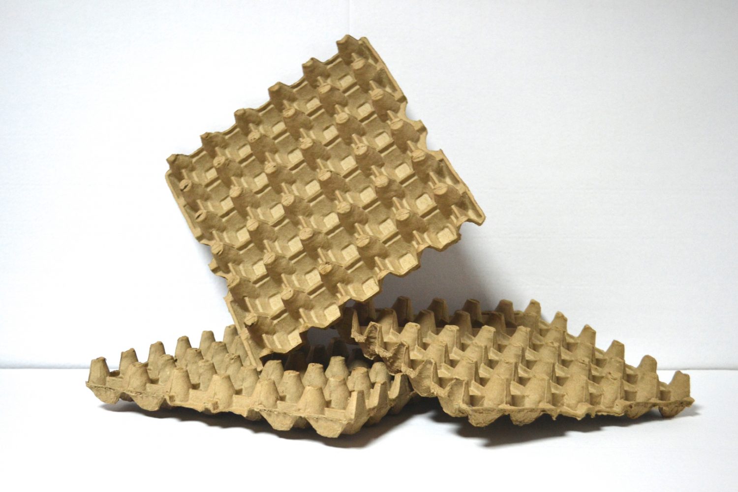 شانه تخم مرغ تجربه نگهداری ایمن