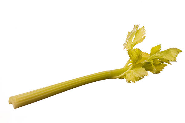 تصویر 1 از کرفس رژیمی کم‌ کالری مناسب برنامه‌ های کاهش وزن اصولی