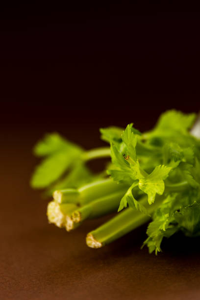 تصویر 3 از کرفس رژیمی کم‌ کالری مناسب برنامه‌ های کاهش وزن اصولی