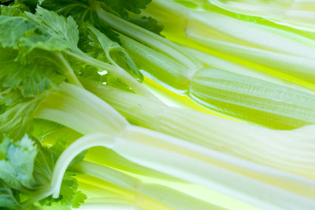 تصویر 2 از کرفس تازه‌ چین روز مناسب فروشگاه‌ های میوه و تره‌ بار