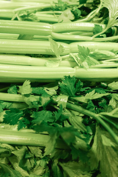 تصویر 1 از کرفس تازه‌ چین روز مناسب فروشگاه‌ های میوه و تره‌ بار