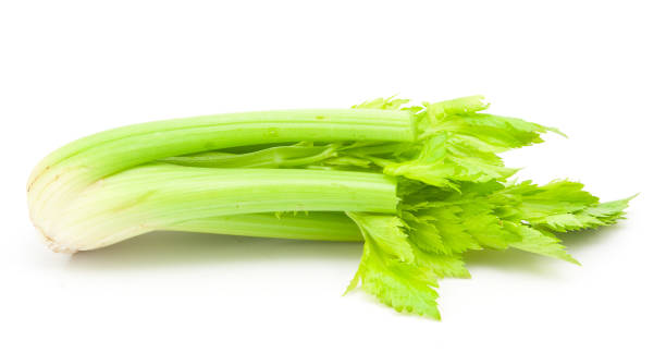 تصویر 2 از کرفس با کیفیت صادراتی یکنواخت مناسب صادرات منطقه‌ ای سبزیجات