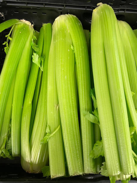 تصویر 2 از کرفس سبز درجه یک مناسب آشپزی سنتی ایرانی