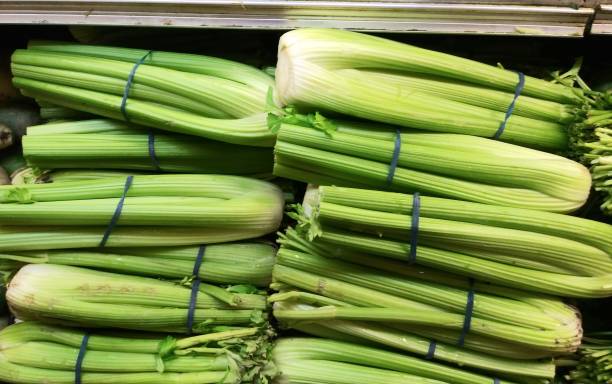 تصویر 4 از کرفس مزرعه‌ ای خوش‌ عطر مناسب مصرف خام روزانه