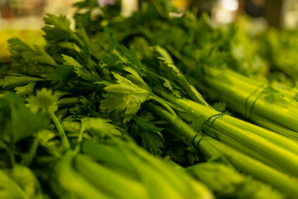 تصویر 2 از کرفس مزرعه‌ ای خوش‌ عطر مناسب مصرف خام روزانه