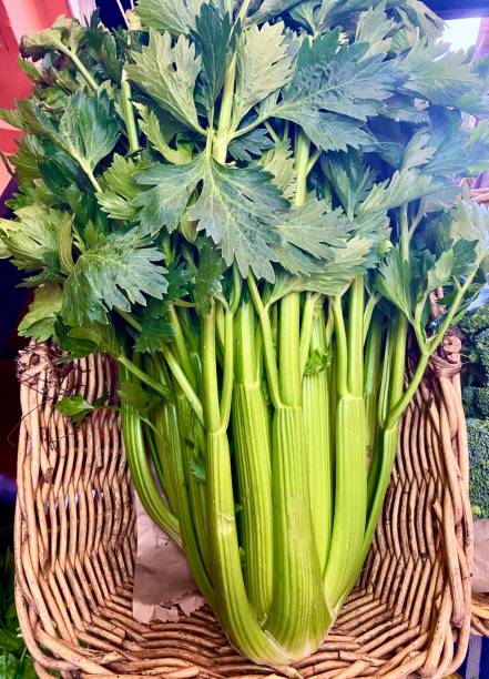 تصویر 1 از کرفس سبز پرخاصیت مناسب رژیم گیاه‌ خواری