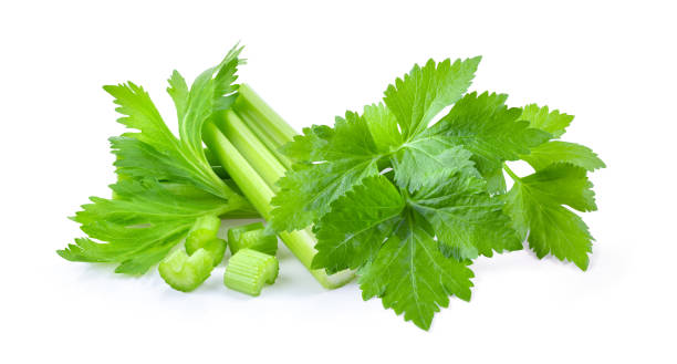 تصویر 2 از کرفس تازه ترد درجه یک مناسب ترکیب با سبزیجات معطر