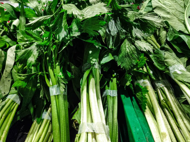 تصویر 2 از کرفس تازه شسته‌ شده مناسب مصرف سریع خانگی