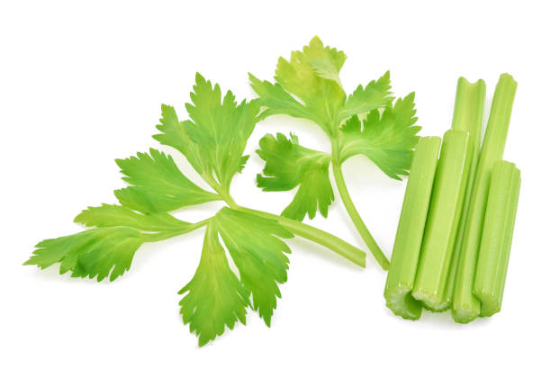 تصویر 2 از کرفس تازه ویژه مناسب نگهداری کوتاه‌ مدت در یخچال