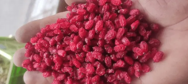 تصویر 1 از فروش زرشک دانه اناری قائن بدون واسطه